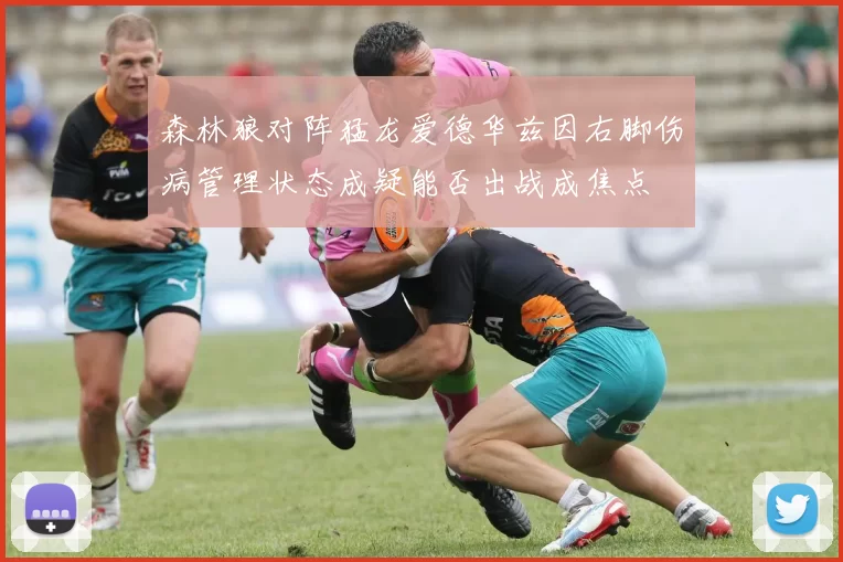 森林狼对阵猛龙爱德华兹因右脚伤病管理状态成疑能否出战成焦点