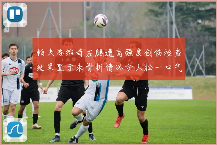 帕夫洛维奇左腿遭高强度创伤检查结果显示未骨折情况令人松一口气